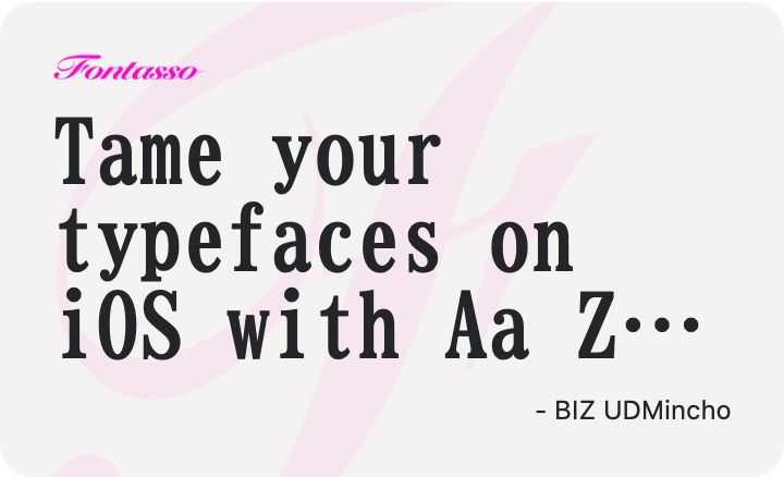 BIZ UDMincho specimen