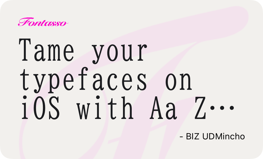 BIZ UDMincho specimen